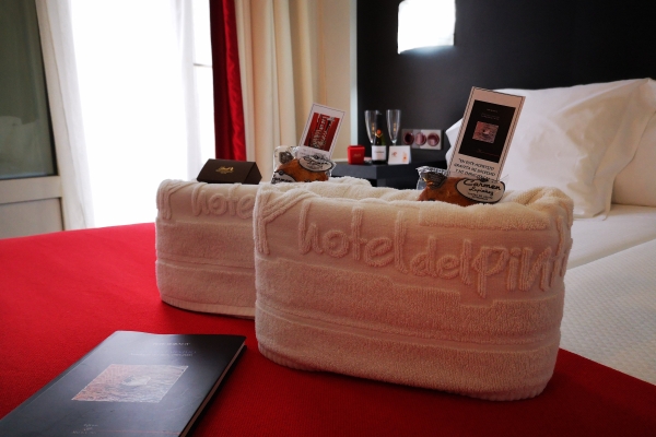 Hotel del Pintor
